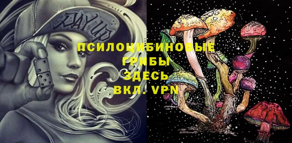 Альфа ПВП Алзамай