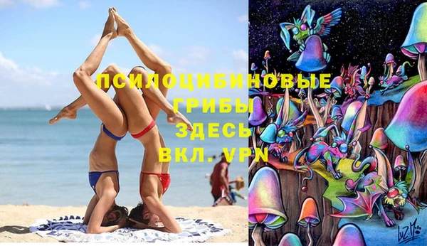 синтетический гашиш Алексин