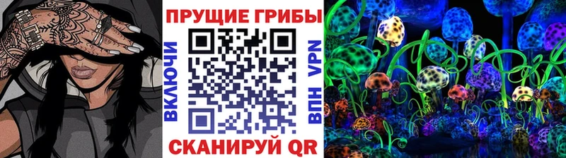 Псилоцибиновые грибы ЛСД  мега маркетплейс  Петропавловск-Камчатский  где купить наркоту 